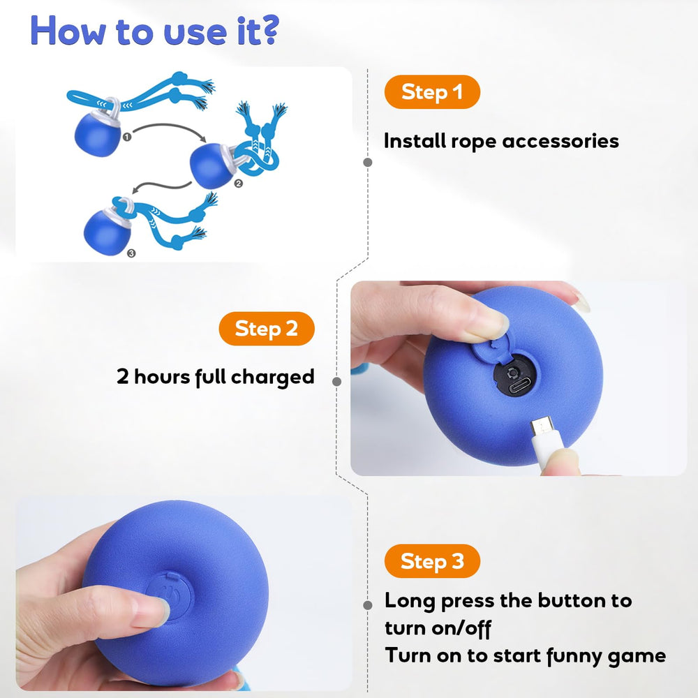 BENTOPAL balle utilisée par un petit chien pour activité et plaisir