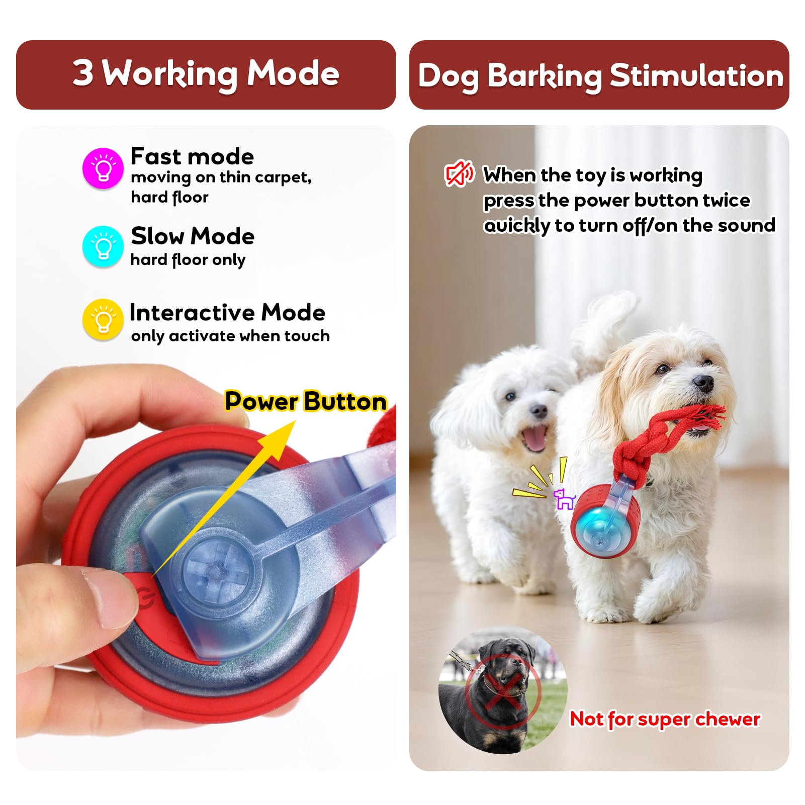 BENTOPAL balle en action avec chien joueur stimulant exercice