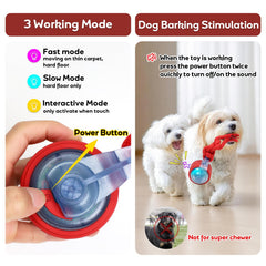 BENTOPAL balle en action avec chien joueur stimulant exercice