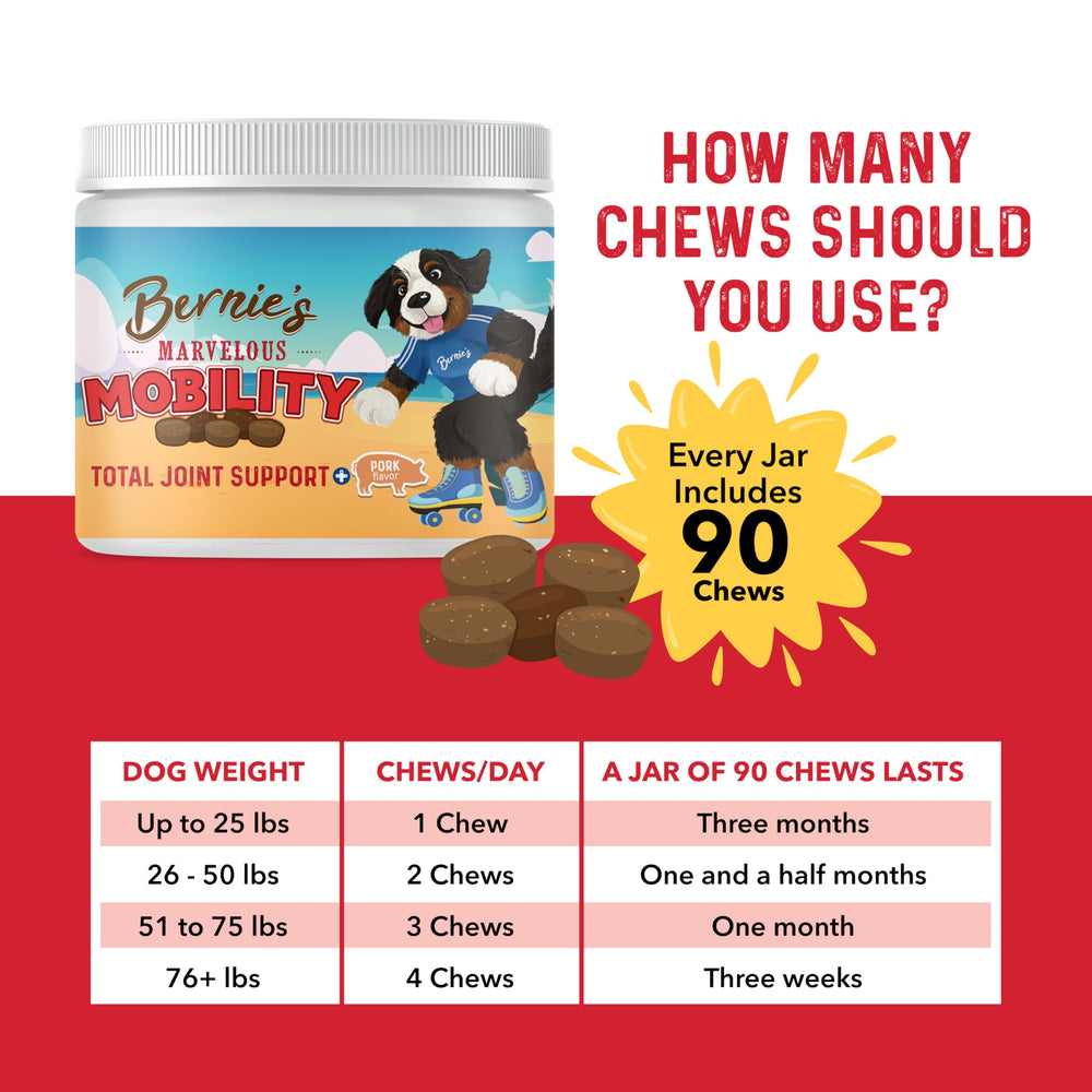 Bernie's chien acceptant une gomme illustrant acceptation et plaisir