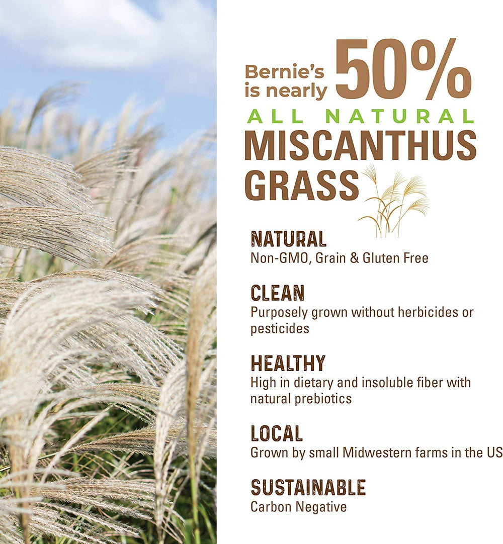 Bernie's close-up citrouille et lin soulignant fibres naturelles et nutriments