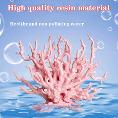 Besimple corail comparaison taille avec gravier pour choix adapté