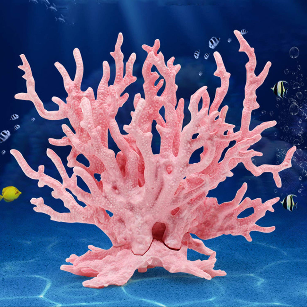 Besimple corail rose face entière présente couleur vive et attrait décoratif
