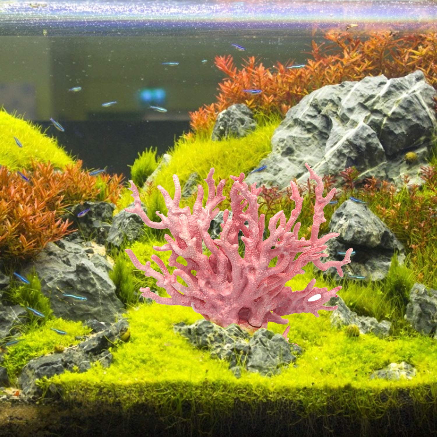 Besimple corail nettoyage à l’eau tiède facile et faible entretien