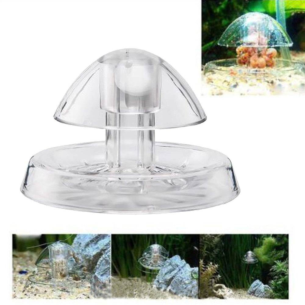 Besimple piège escargot comparaison taille montrant dimensions compactes et adaptabilité