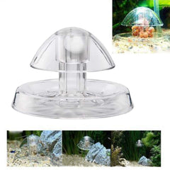 Besimple piège escargot comparaison taille montrant dimensions compactes et adaptabilité