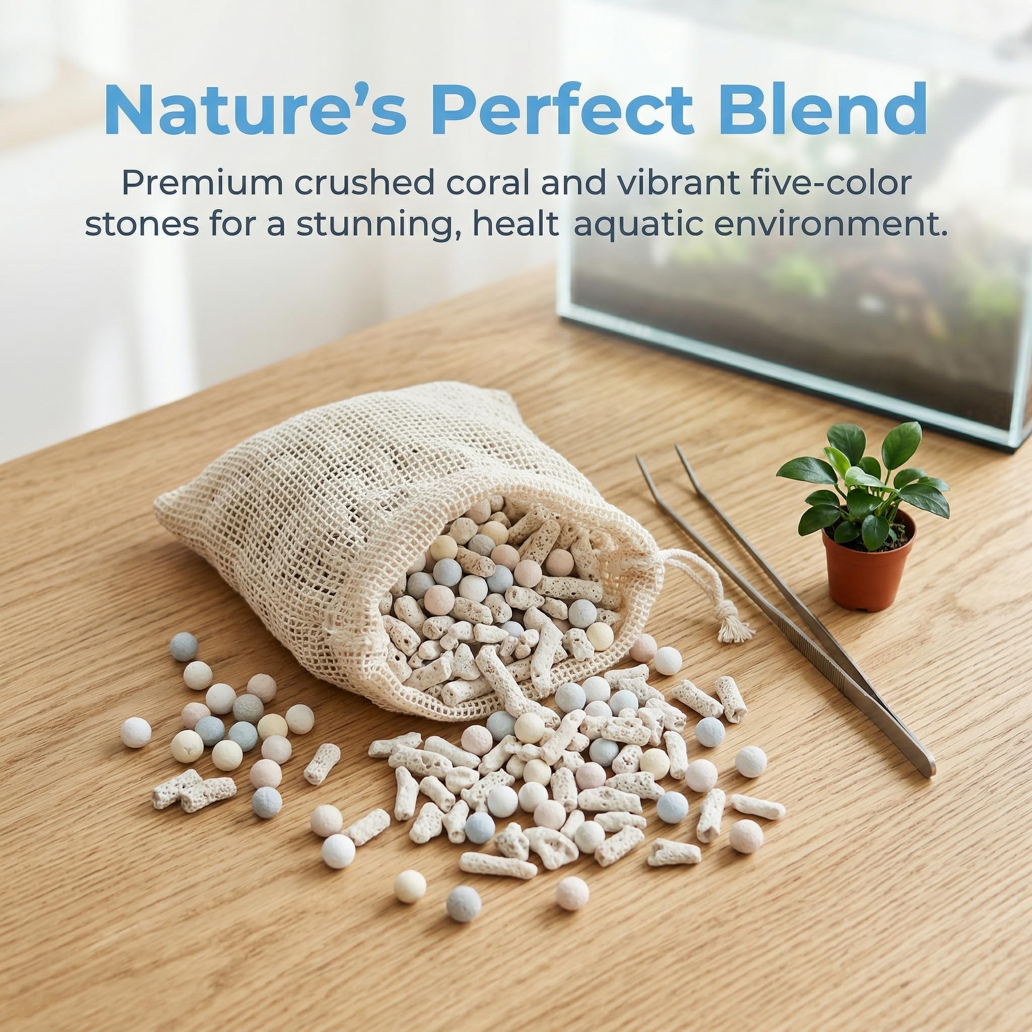 BeSlivewell décor aquatique avec corail et pierres pour esthétique naturelle
