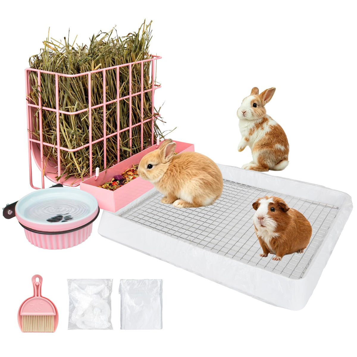 BESNEW vue de face du kit 3-en-1 montrant mangeoire, bac et bol utile pour organisation