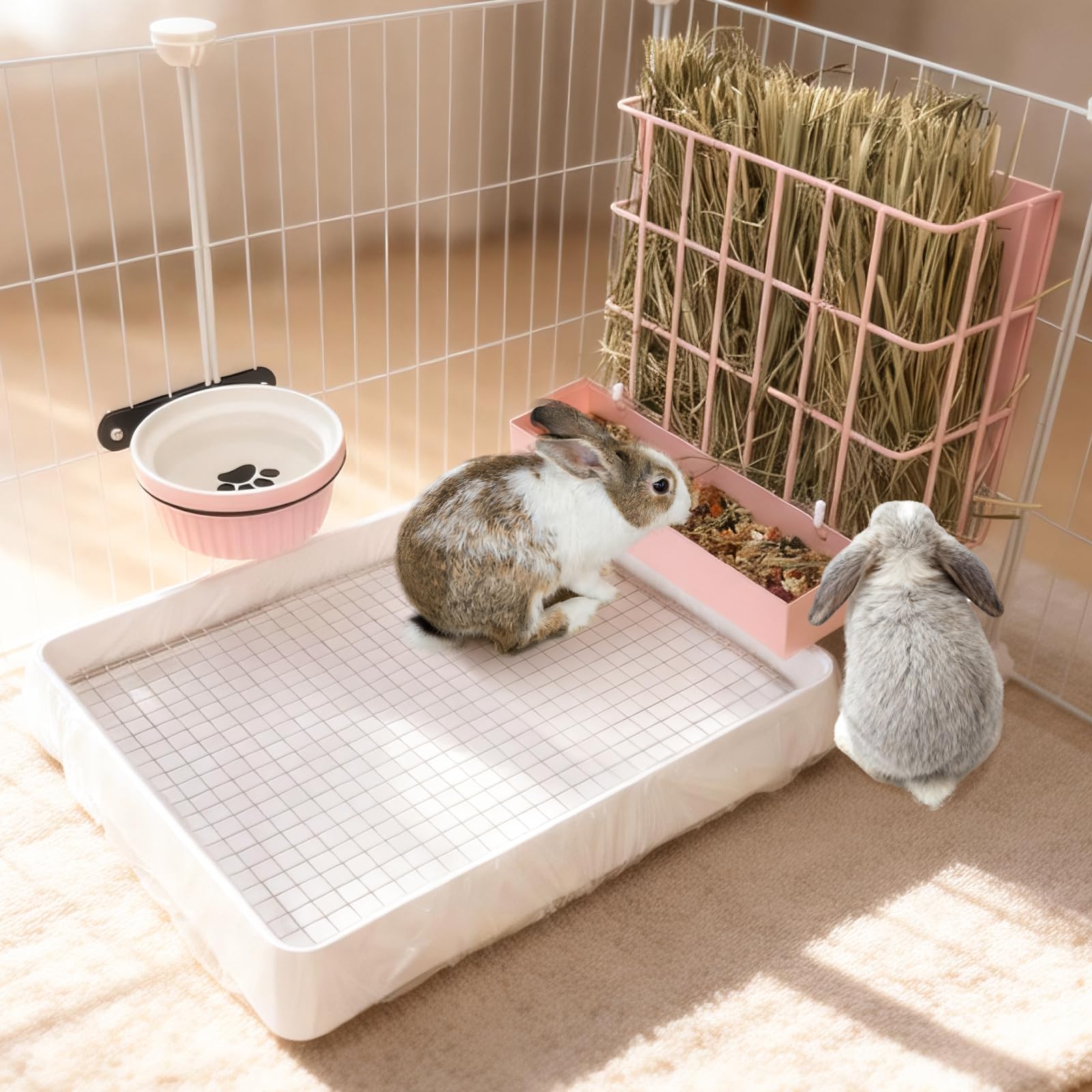 BESNEW scène de cage avec animal utilisant le kit réduisant le désordre et le gaspillage