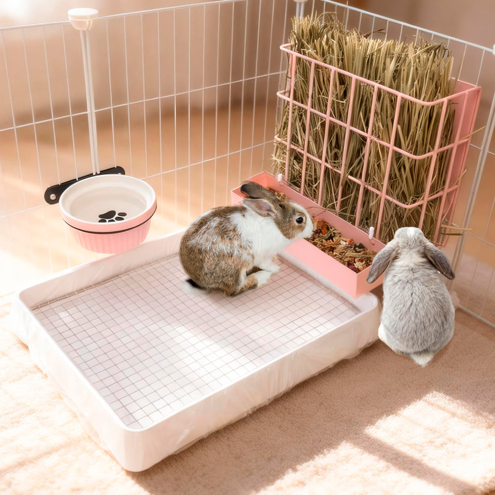 BESNEW scène de cage avec animal utilisant le kit réduisant le désordre et le gaspillage