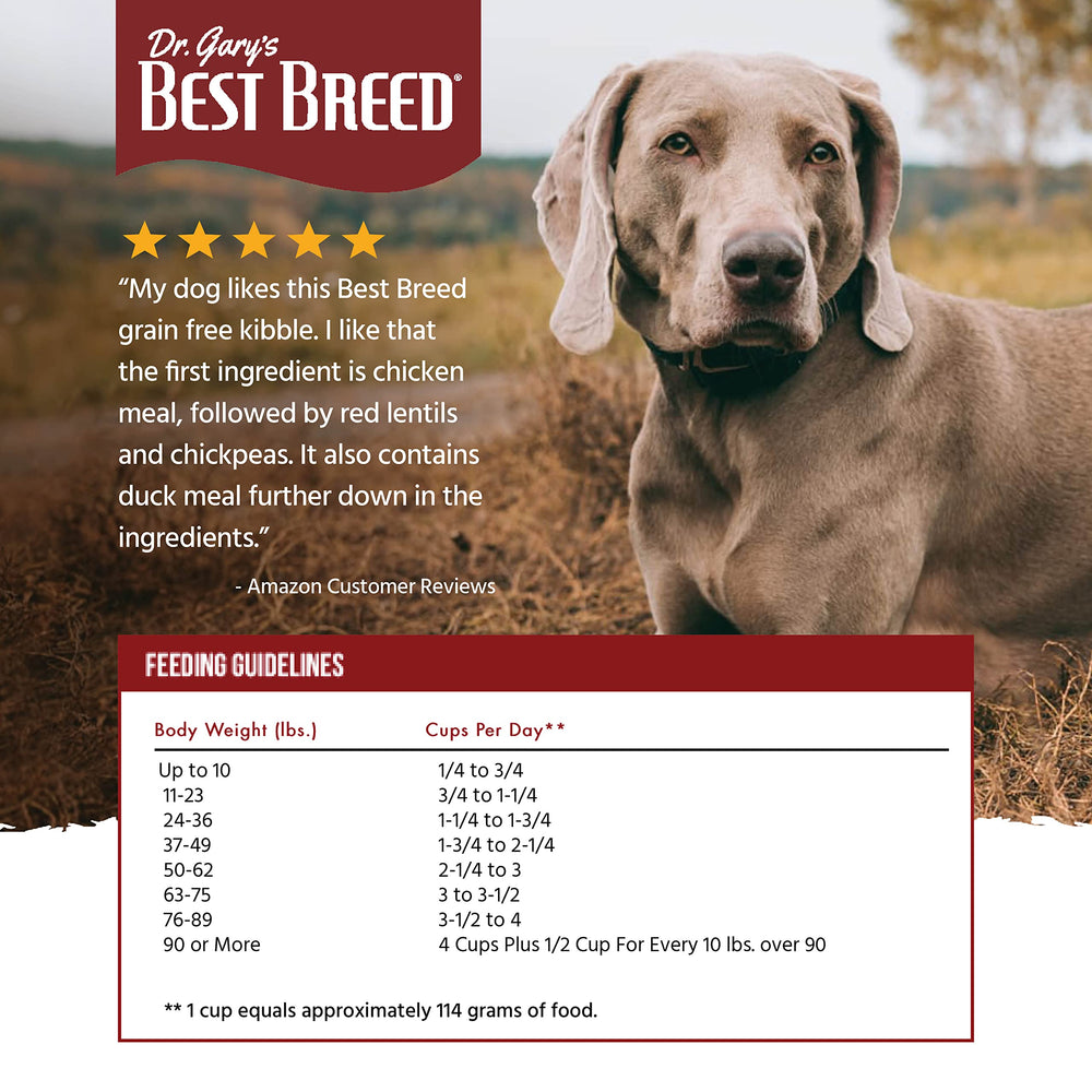 Best Breed chien en cuisine consommant croquettes bénéfice appétence