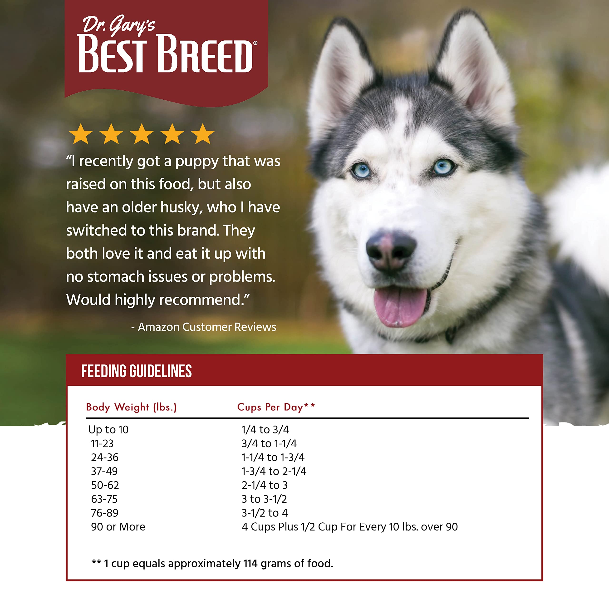 Best Breed moule verte de Nouvelle‑Zélande en gros plan, bénéfice santé articulaire