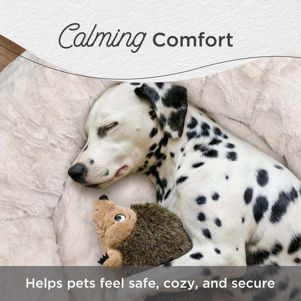 Best Friends by Sheri comparaison taille avec grand chien illustrant espace disponible