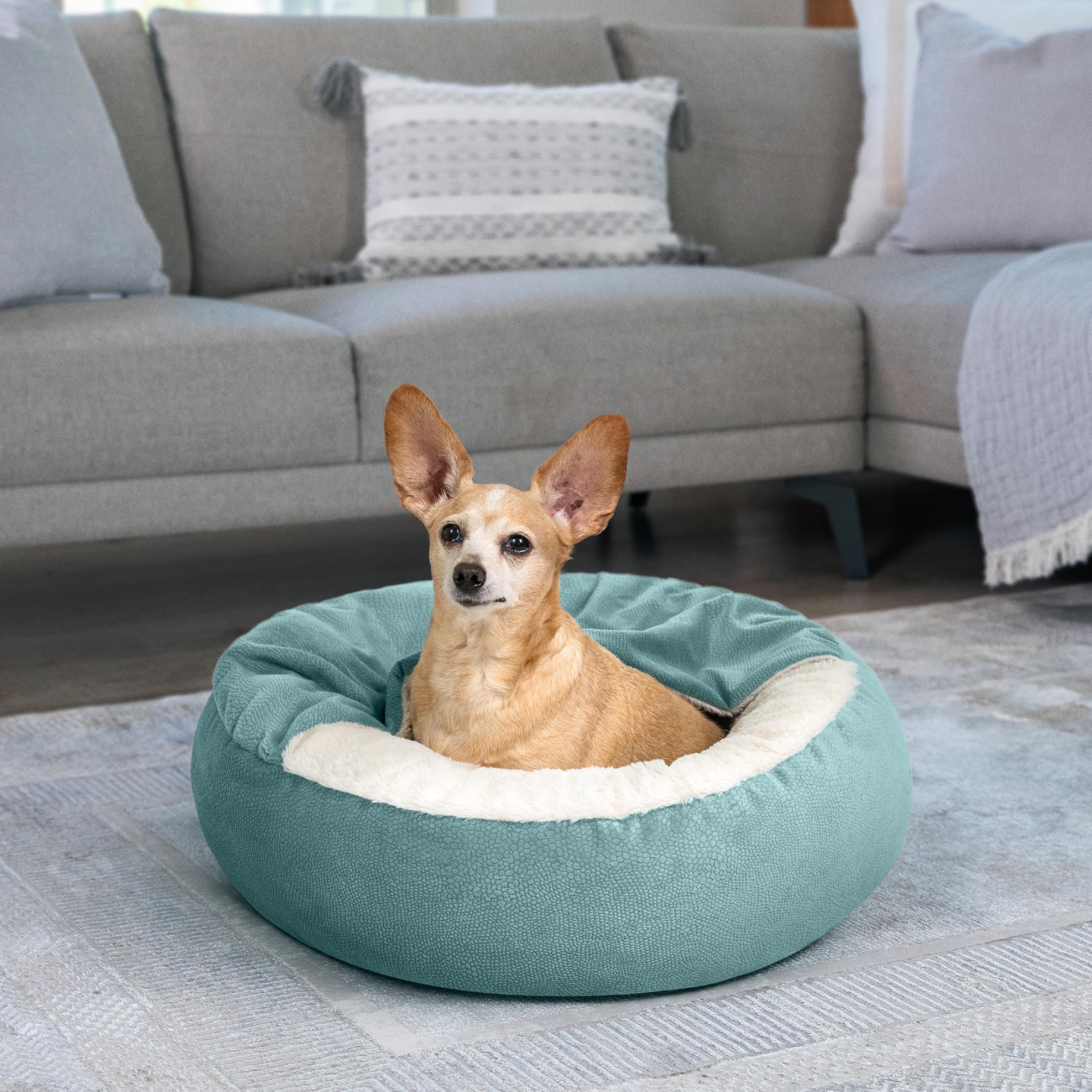 Best Friends by Sheri comparaison taille montre encombrement adapté petits chiens