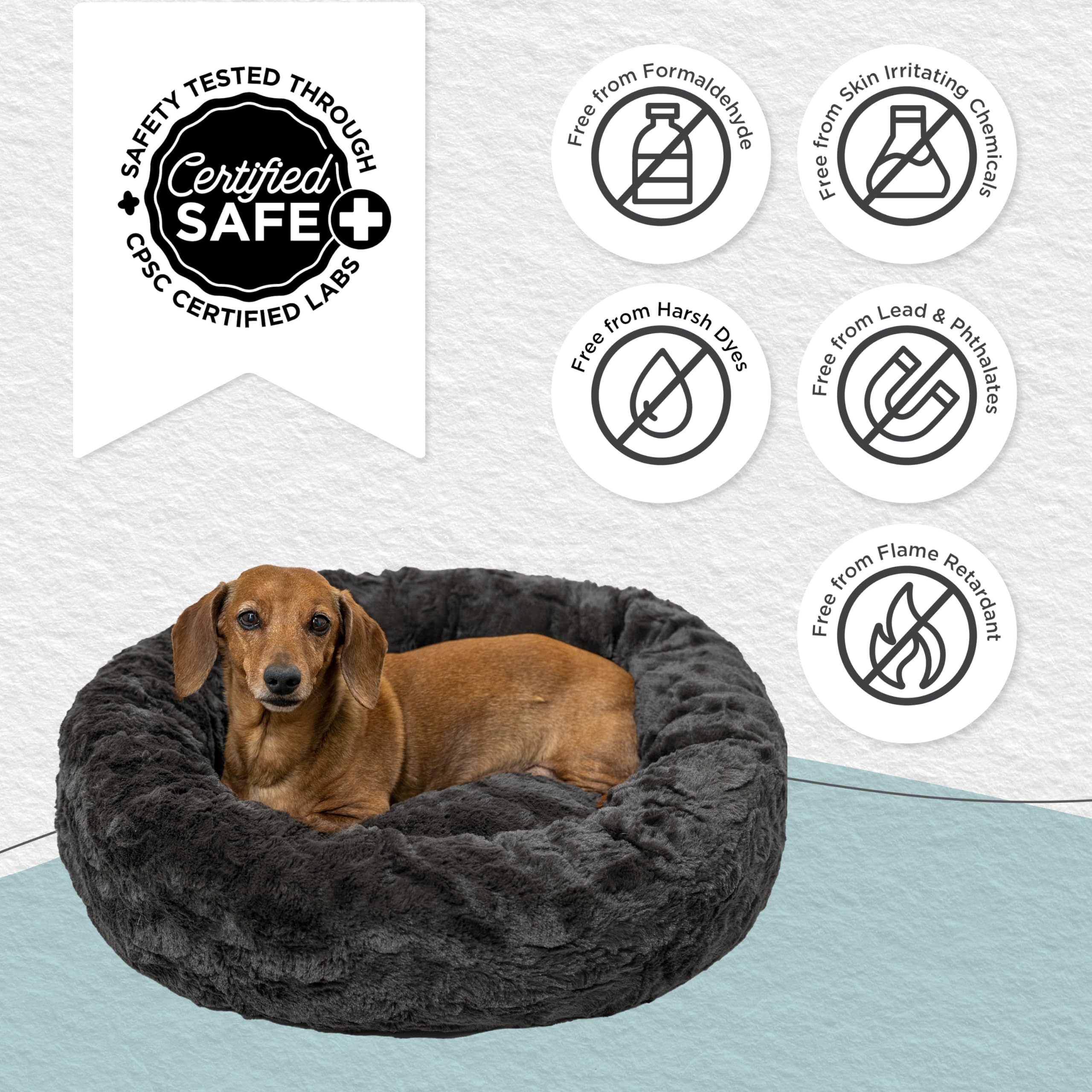 Best Friends by Sheri petit chien endormi montrant soutien orthopédique
