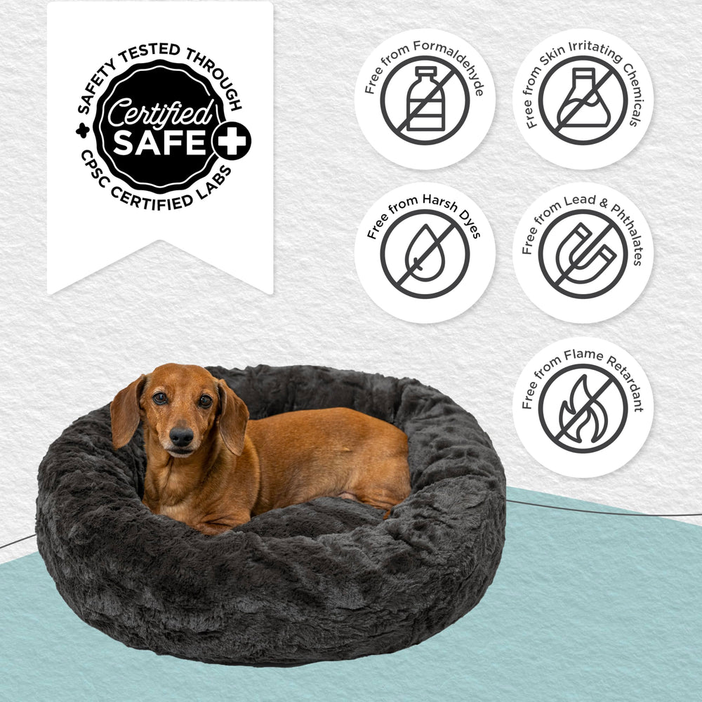 Best Friends by Sheri petit chien endormi montrant soutien orthopédique