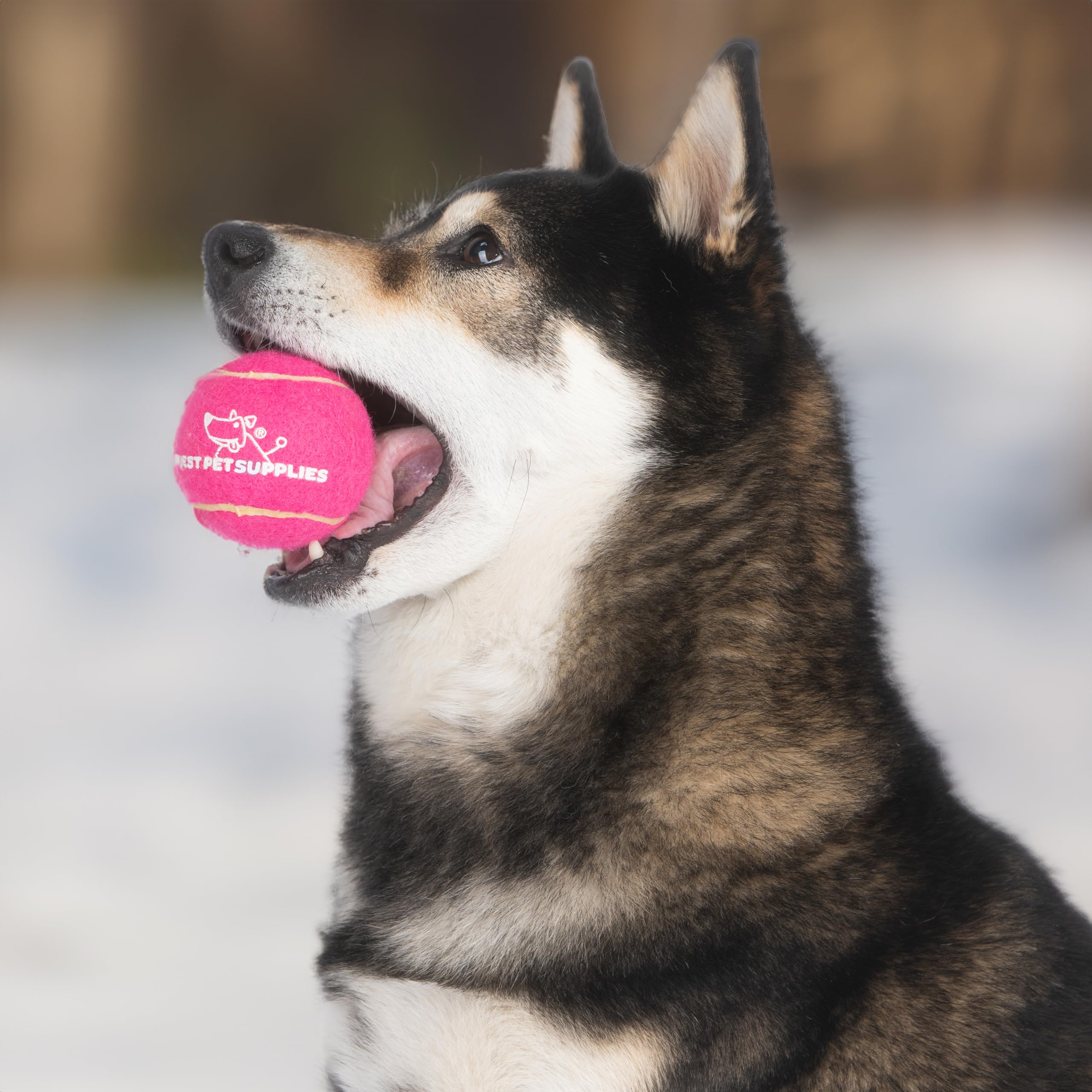 Best Pet Supplies balle humide après nettoyage, facile à rincer et sécher
