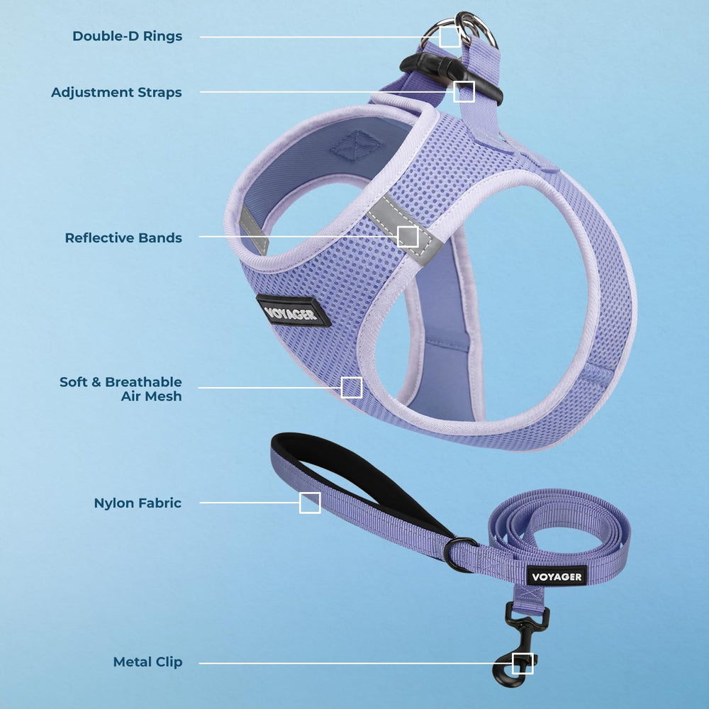 Best Pet Supplies boucle et double D-ring métallique pour sécurité renforcée