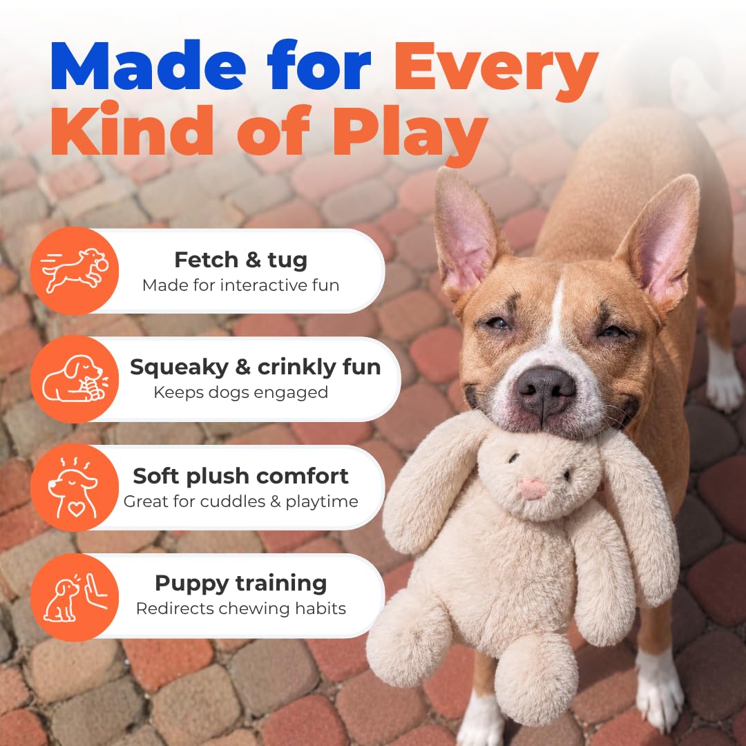 Best Pet Supplies Bunny Buddy comparaison de taille utile pour choisir la bonne taille