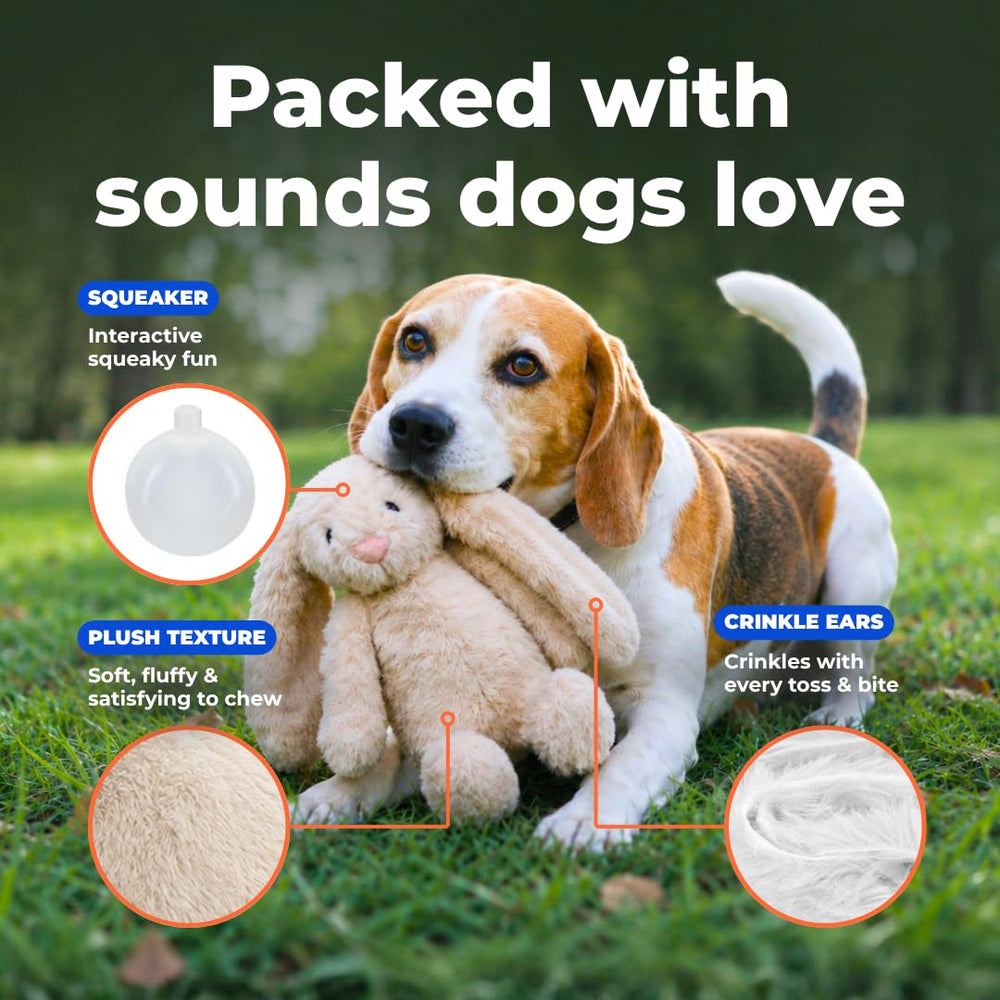 Best Pet Supplies Bunny Buddy révélation du couineur interne stimulant l’intérêt