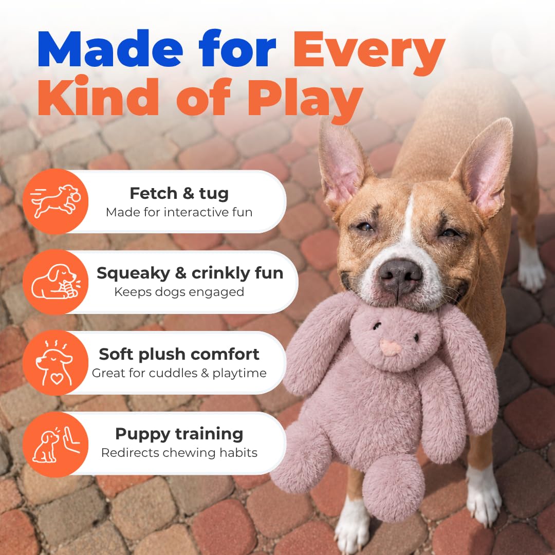 Best Pet Supplies bunny buddy tenu en main pour démontrer taille moyenne pratique