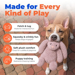 Best Pet Supplies bunny buddy tenu en main pour démontrer taille moyenne pratique