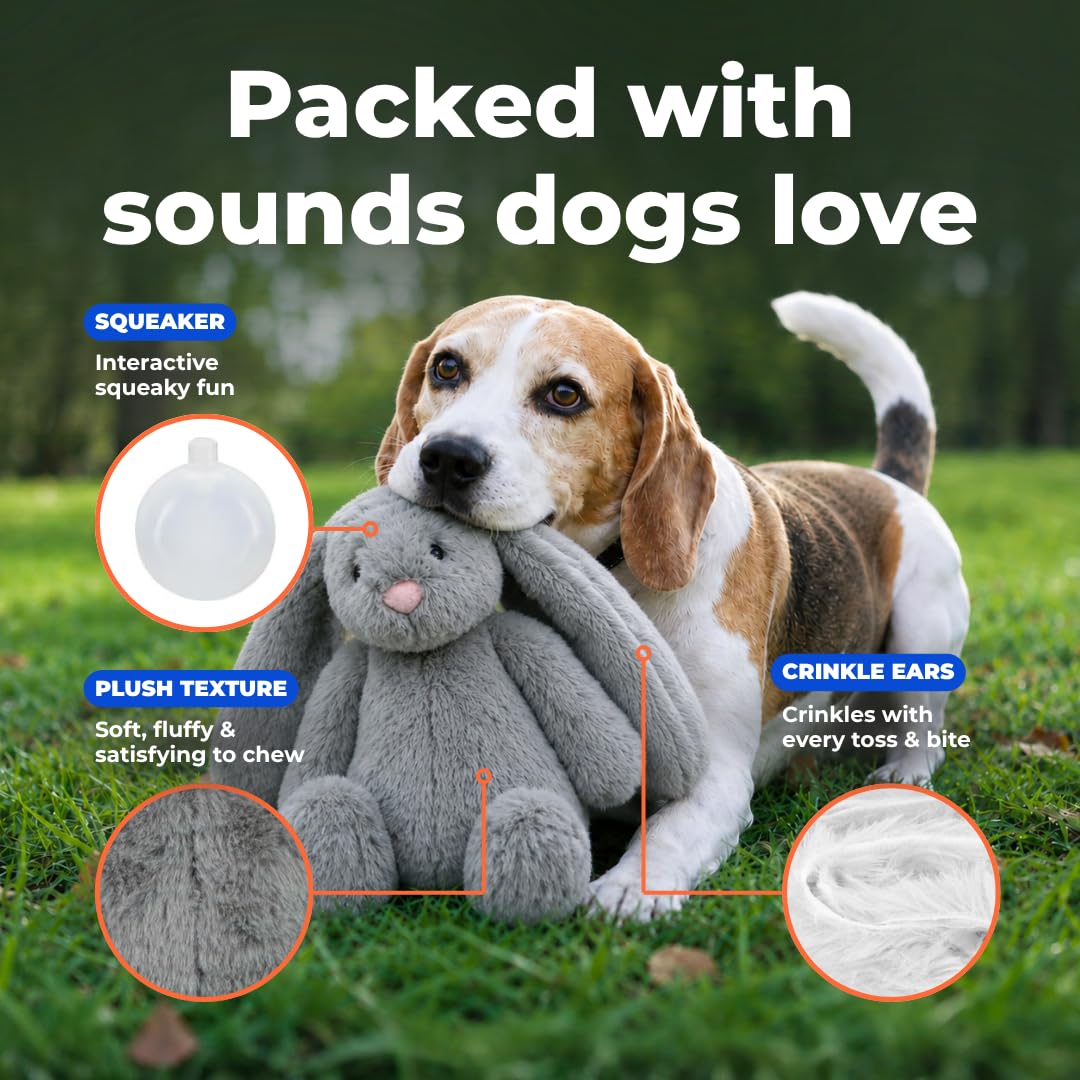 Best Pet Supplies Bunny Buddy comparaison en main illustrant taille adaptée