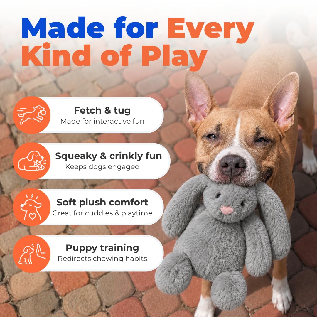 Best Pet Supplies Bunny Buddy chien jouant, stimule l'activité et le rappel