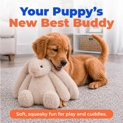 Best Pet Supplies Bunny Buddy gros plan texture affichant tissu résistant doux