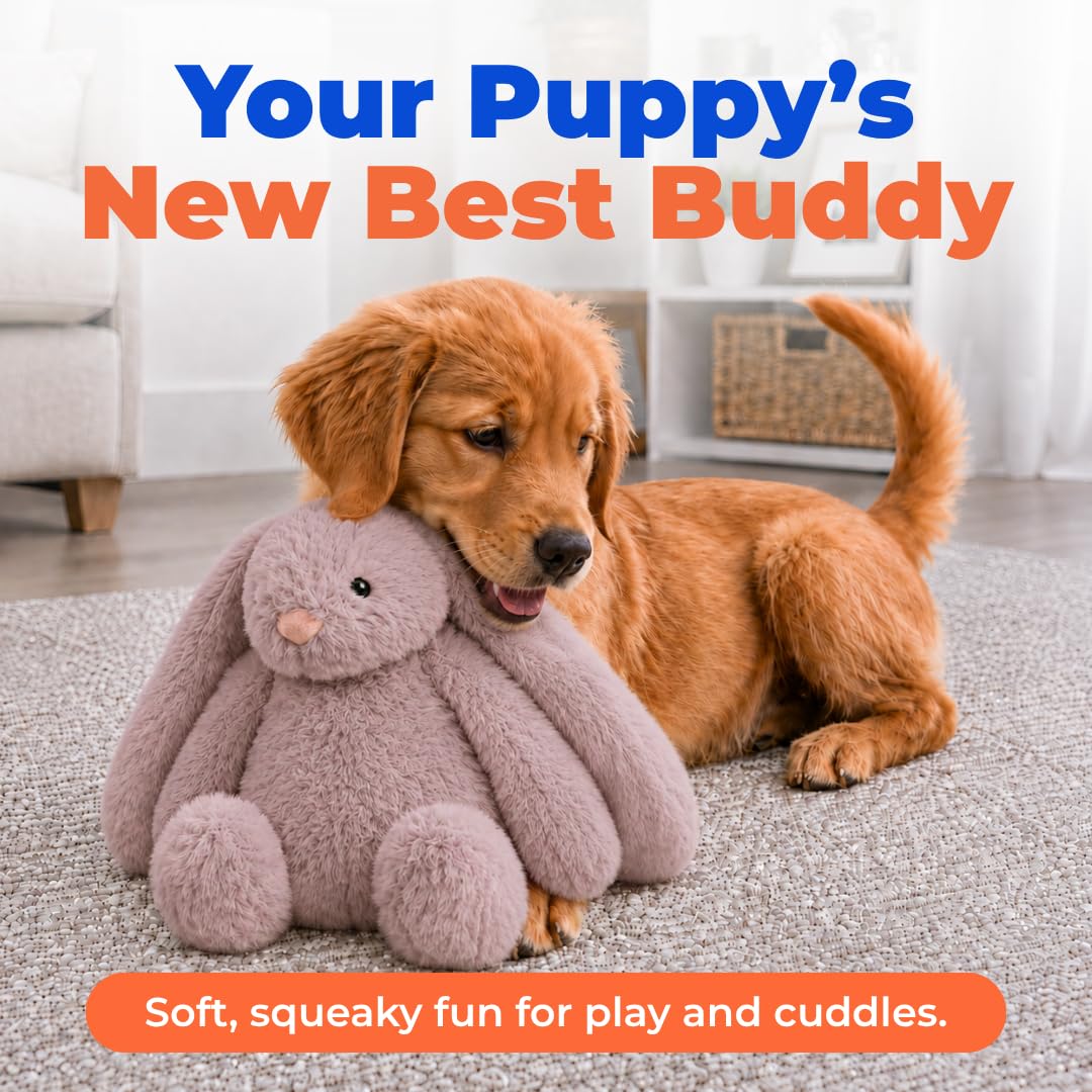 Best Pet Supplies bunny buddy gros plan texture en peluche durable et douce