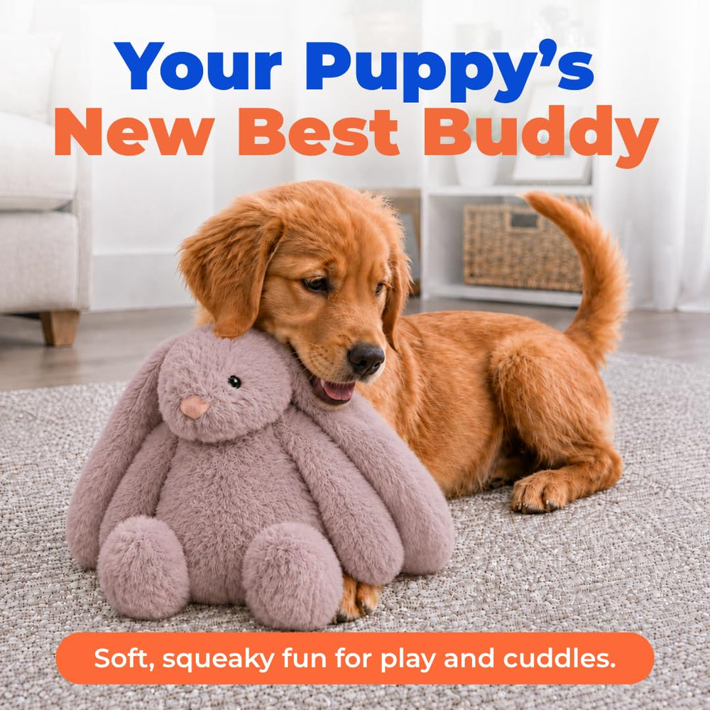 Best Pet Supplies bunny buddy gros plan texture en peluche durable et douce