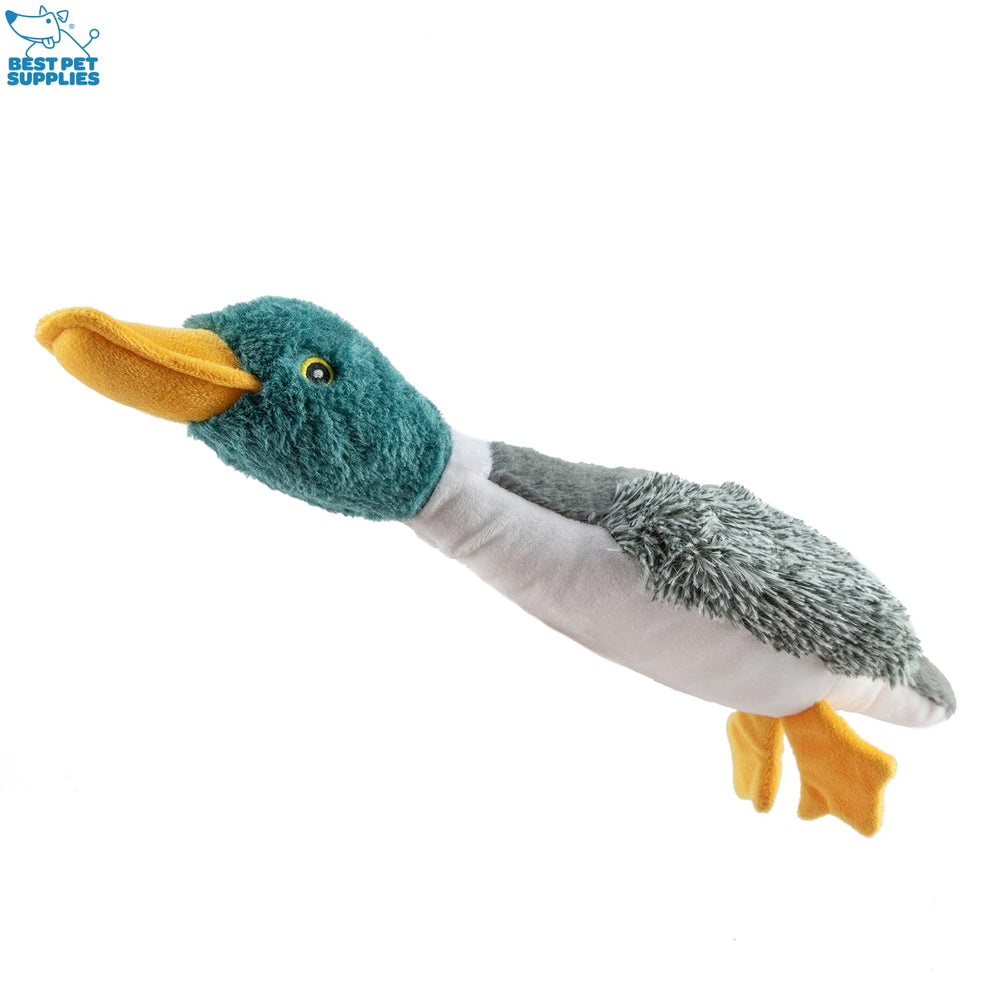 Best Pet Supplies chien jouant au rapport avec le canard, stimule l'exercice