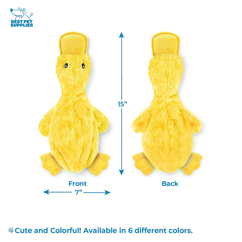 Best Pet Supplies emballage avec couleurs jaune violet turquoise et sélection