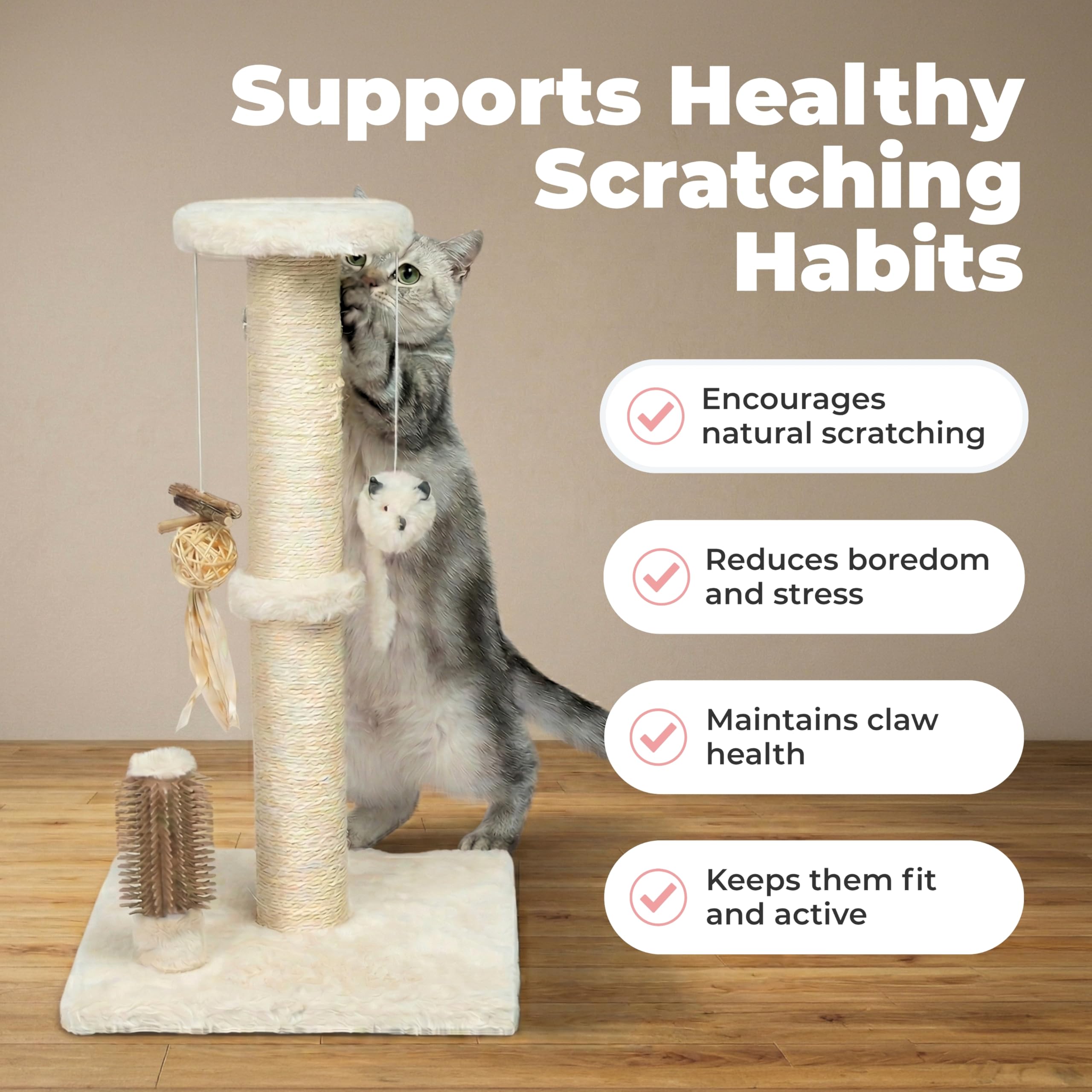 Best Pet Supplies Catify brosse intégrée pour toilettage doux et pratique