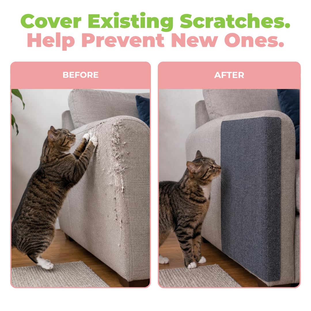 Best Pet Supplies démonstration découpe tapis Catify à la paire de ciseaux