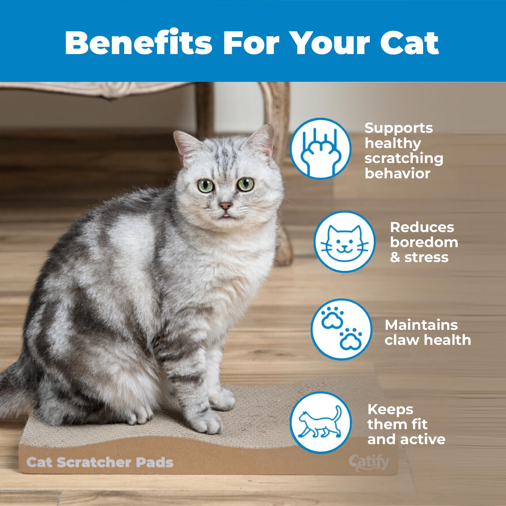 Best Pet Supplies Catify détail des bords résistants, sécurité et longévité