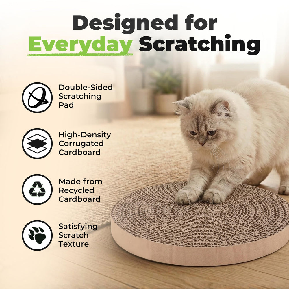 Best Pet Supplies chat jouant avec billes, stimulation physique et divertissement