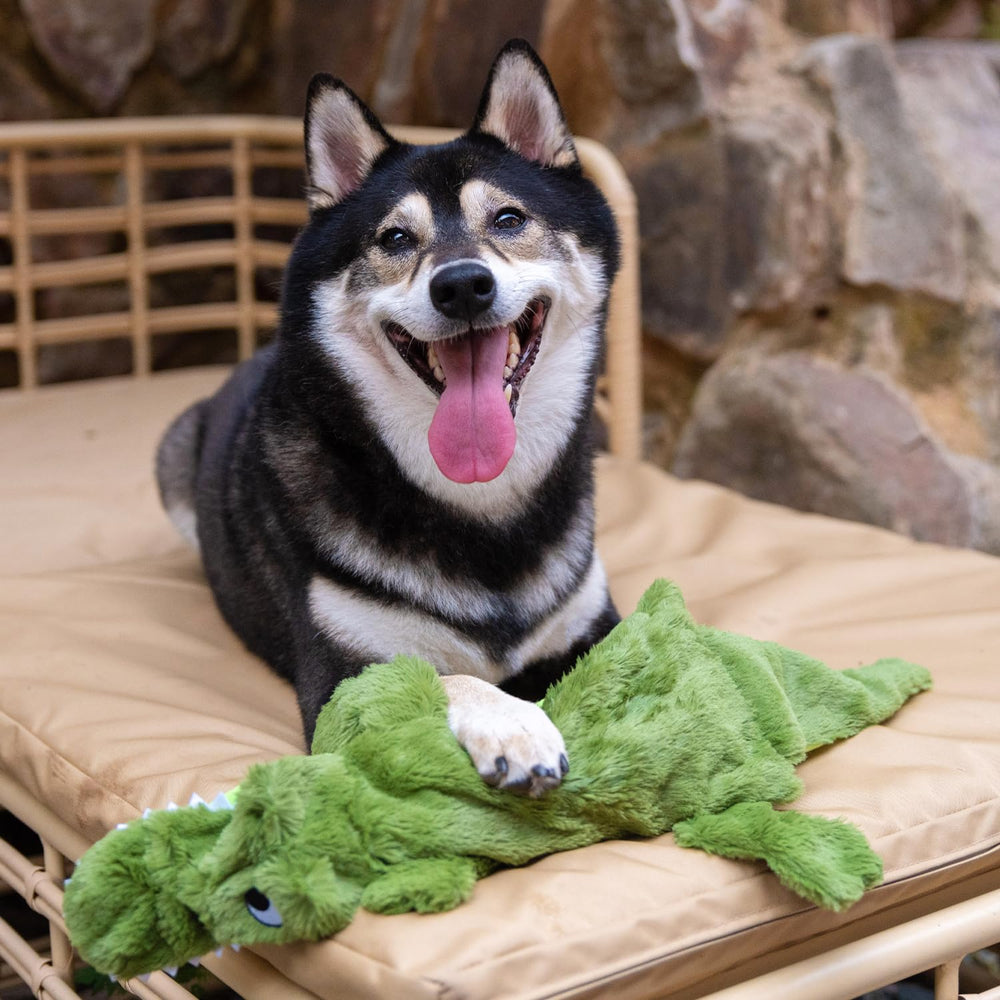 Best Pet Supplies emballage et étiquette soulignant informations produit claires