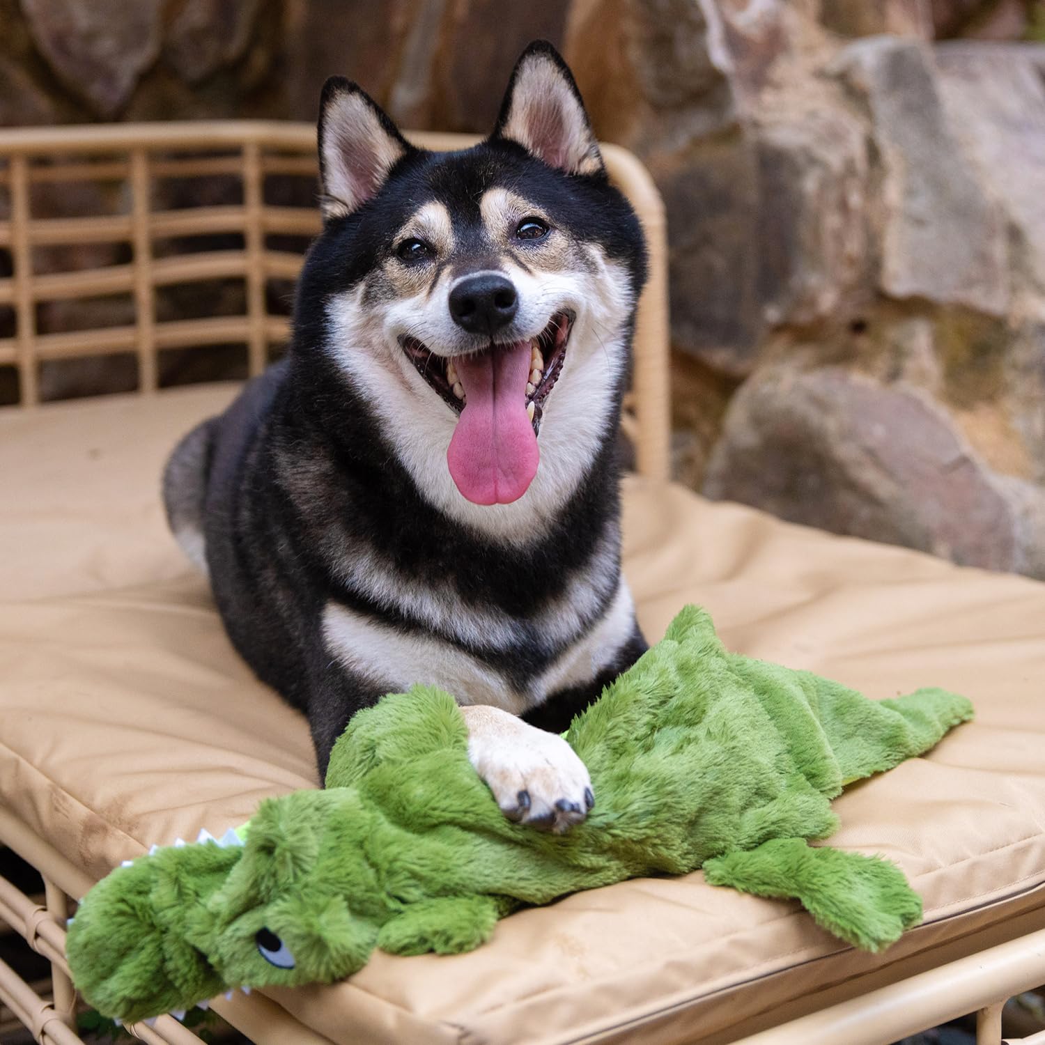 Best Pet Supplies plusieurs modèles et motifs côte à côte montrant options variées pour choix