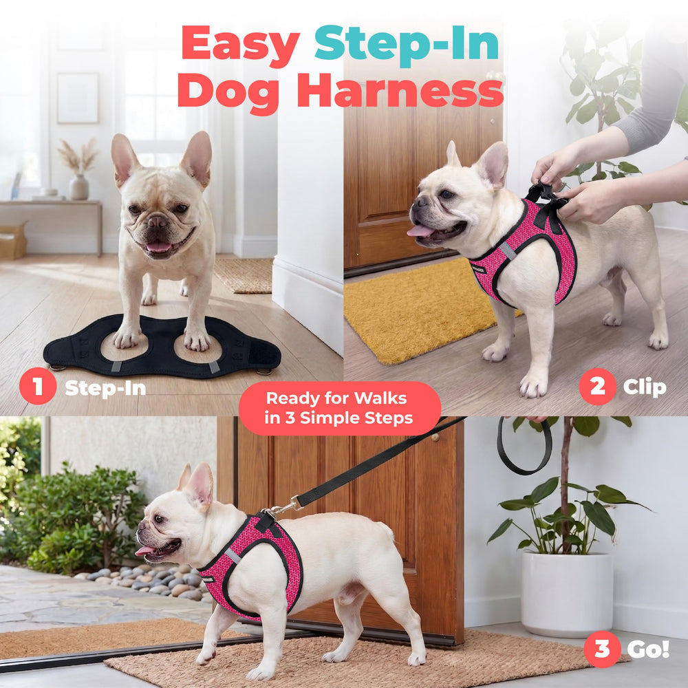 Best Pet Supplies détail de la boucle robuste pour fermeture sûre