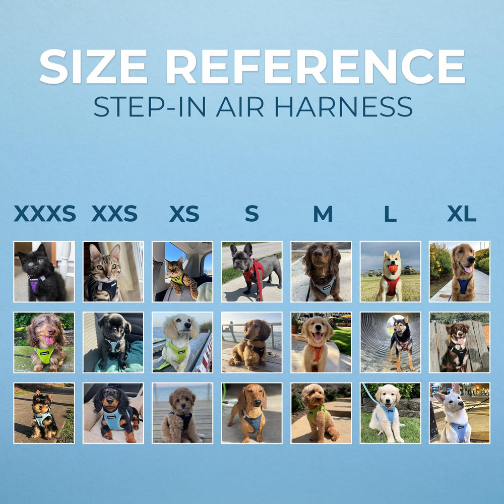 Best Pet Supplies bandes réfléchissantes visibles la nuit augmentant sécurité