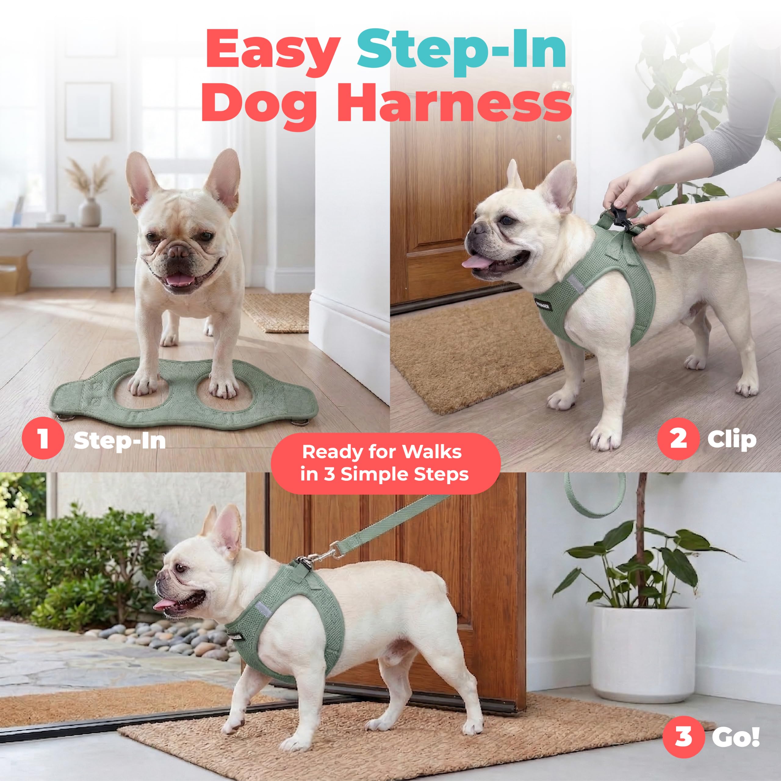 Best Pet Supplies bandes réfléchissantes visibles augmentant la sécurité nocturne