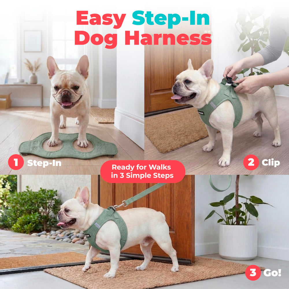 Best Pet Supplies bandes réfléchissantes visibles augmentant la sécurité nocturne