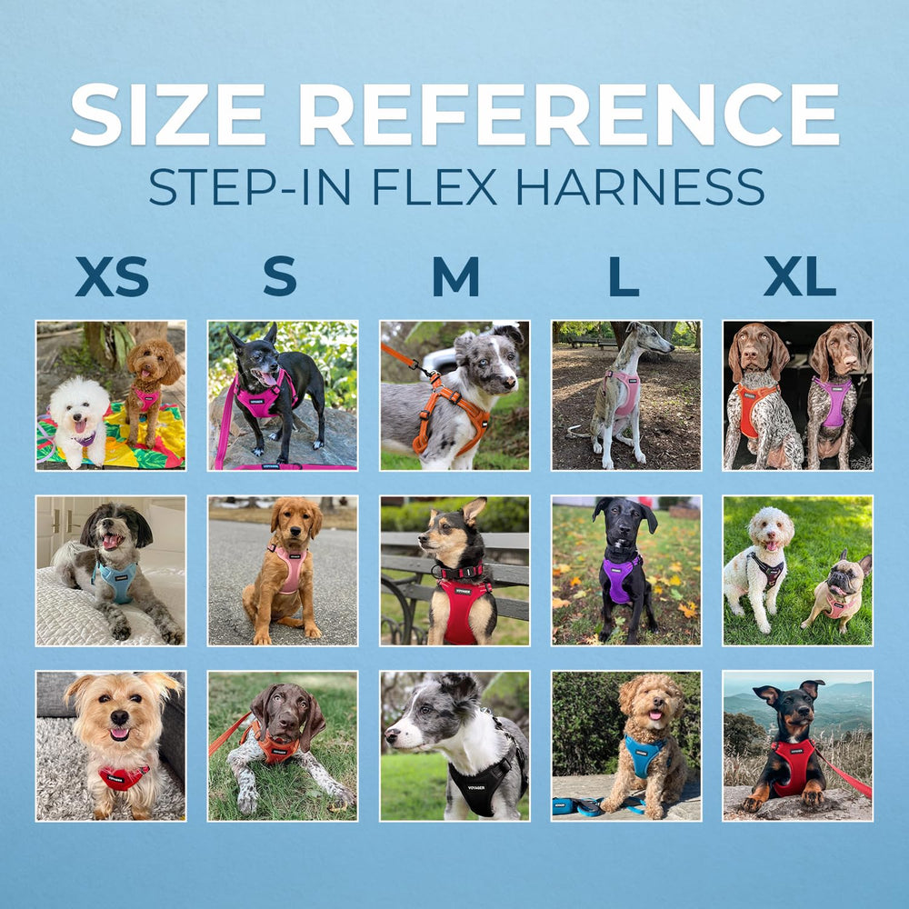 Best Pet Supplies harnais comparaison taille X-Small montrant échelle réaliste