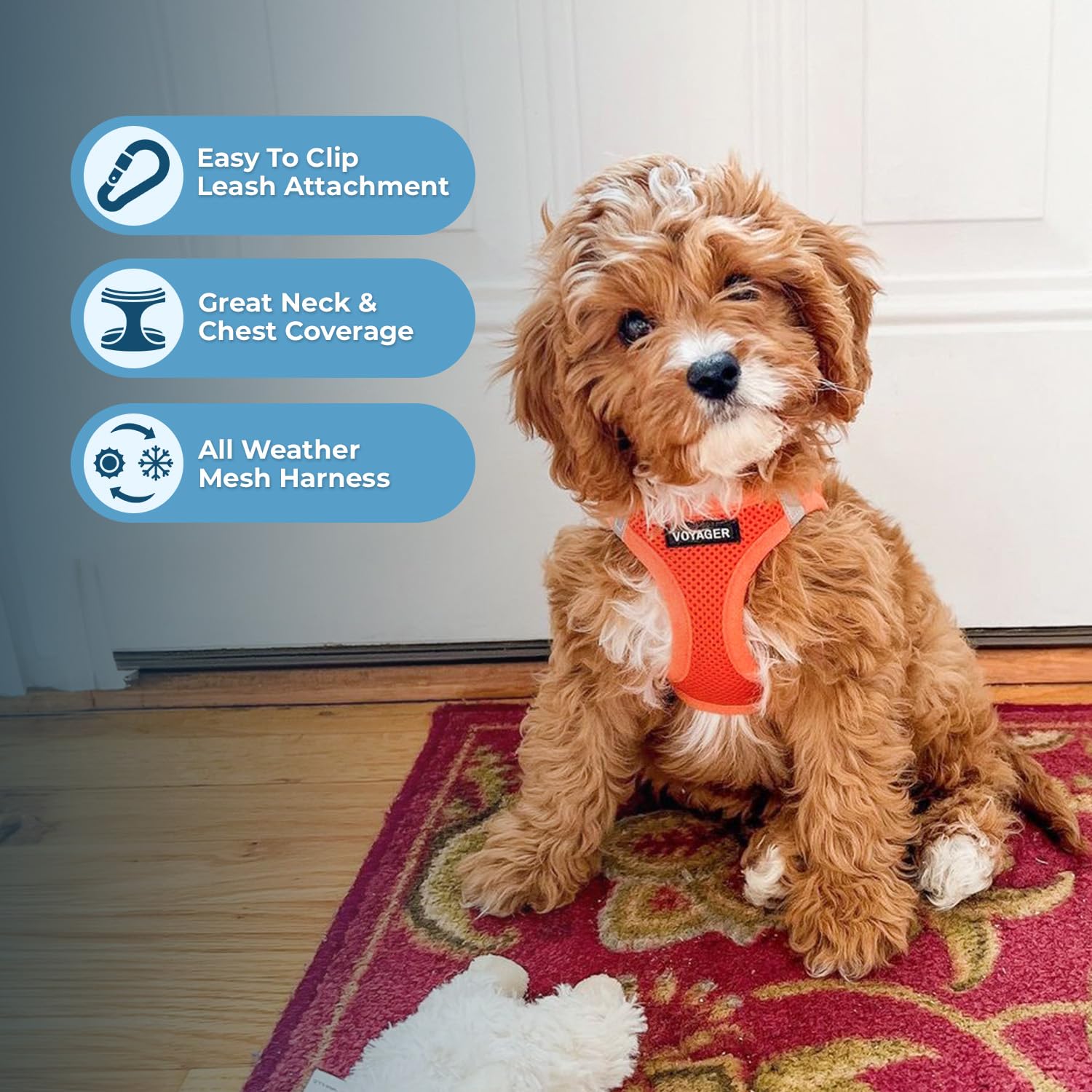 Best Pet Supplies double anneaux en D pour fixation fiable de laisse