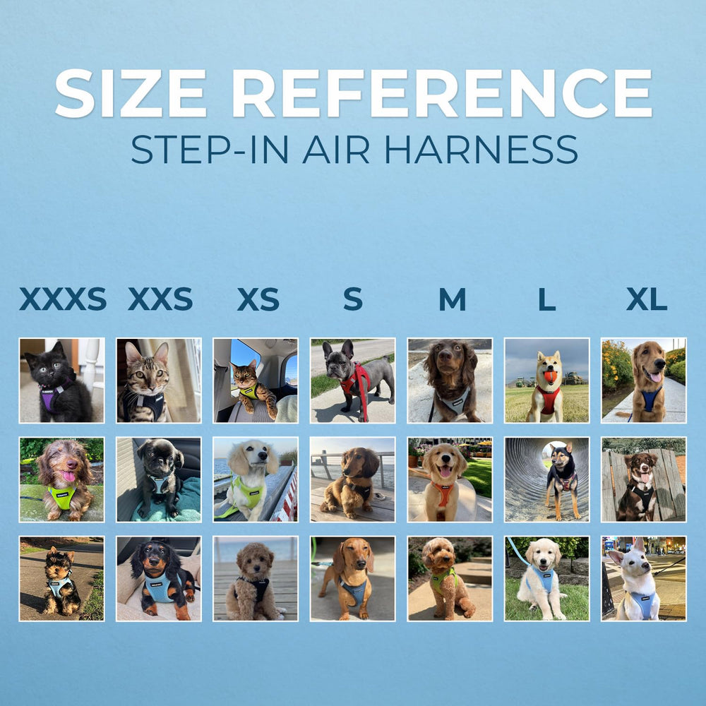 Best Pet Supplies comparaison taille montrant ajustement précis selon mesures