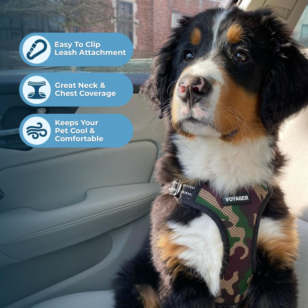 Best Pet Supplies harnais en usage promenade offrant contrôle et calme