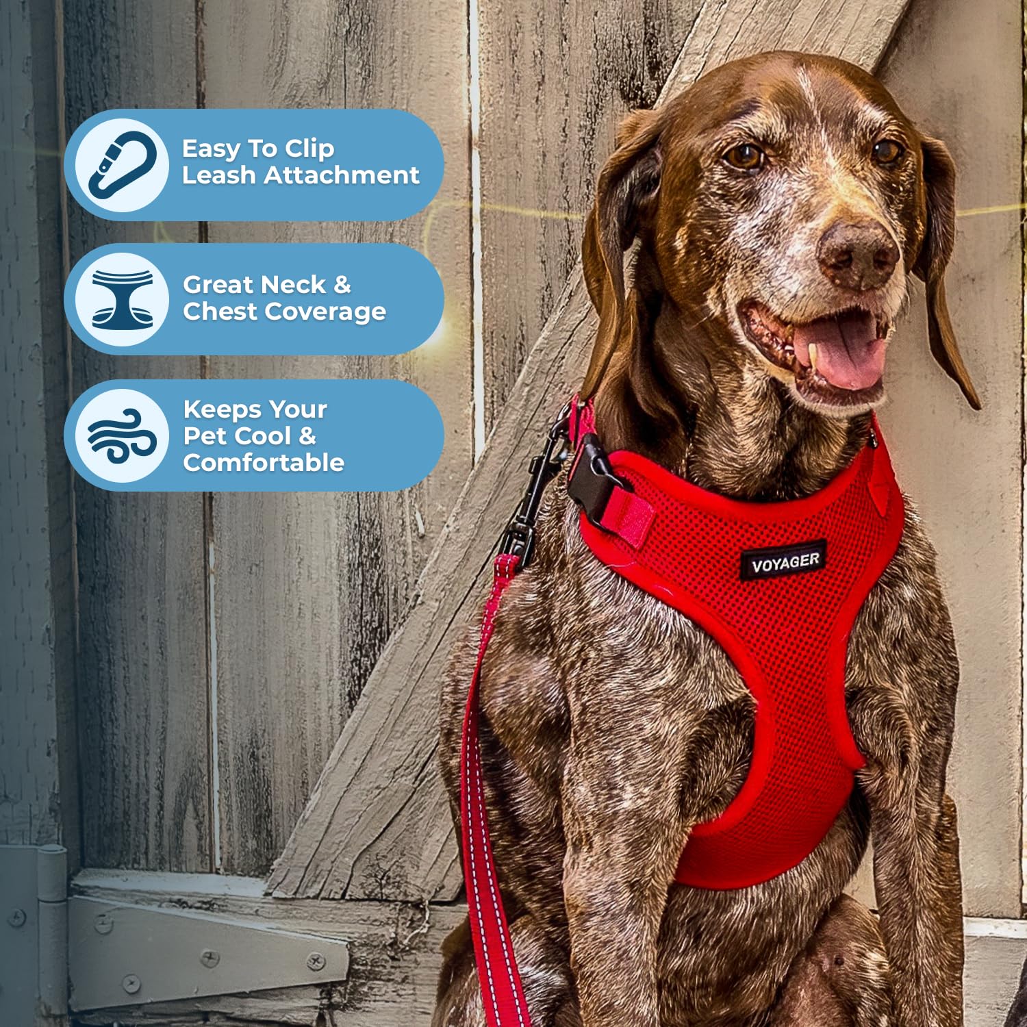 Best Pet Supplies boucle robuste du harnais assurant sécurité