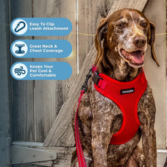Best Pet Supplies boucle robuste du harnais assurant sécurité