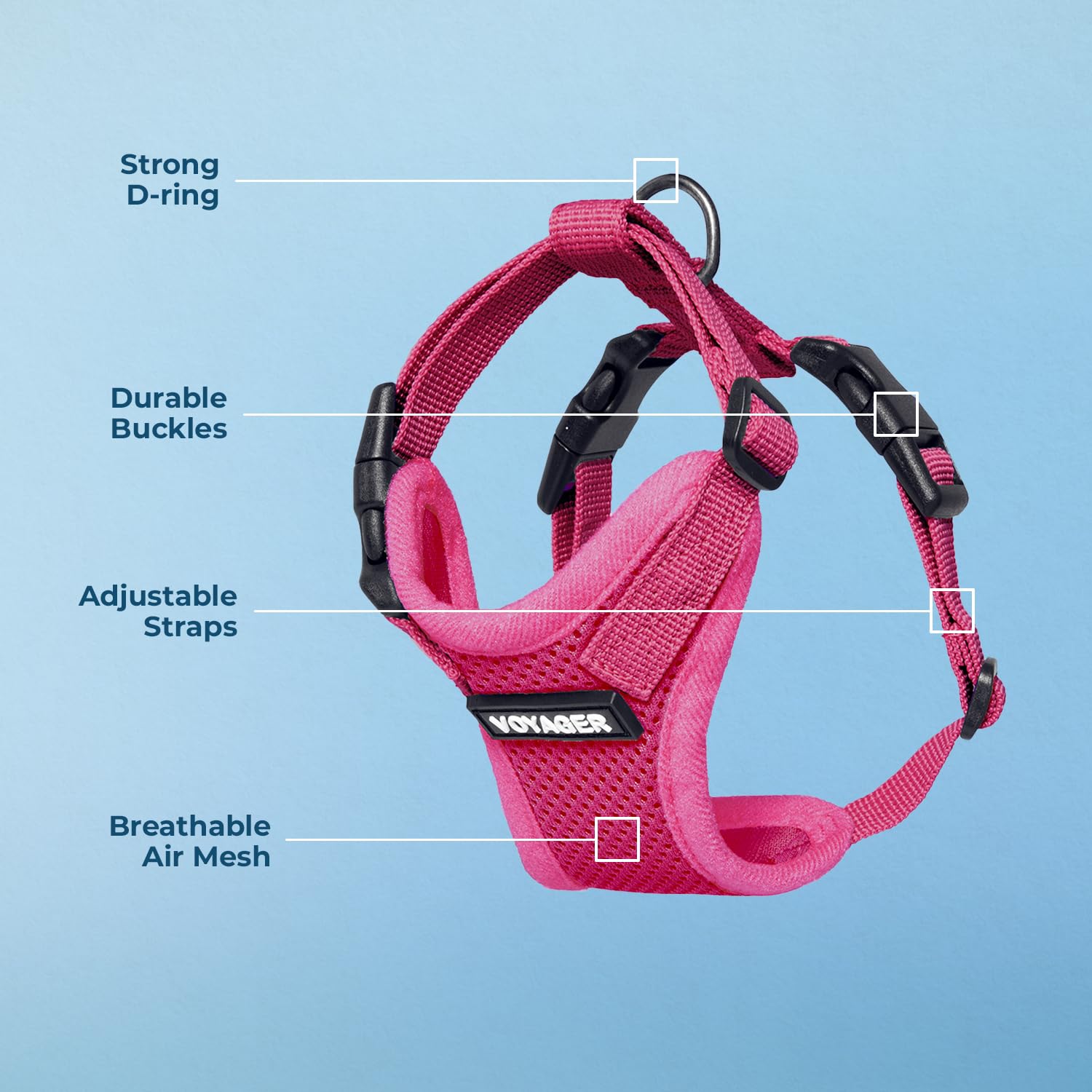 Best Pet Supplies laisse nylon résistante pour promenades sûres
